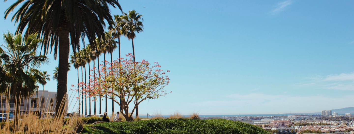 Guests sit along LMU's Los Angeles area bluff.